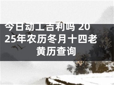 今日动工吉利吗 2025年农历冬月十四老黄历查询
