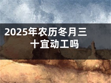 2025年农历冬月三十宜动工吗