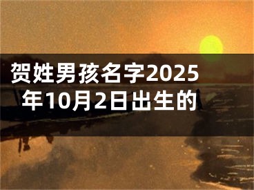 贺姓男孩名字2025年10月2日出生的