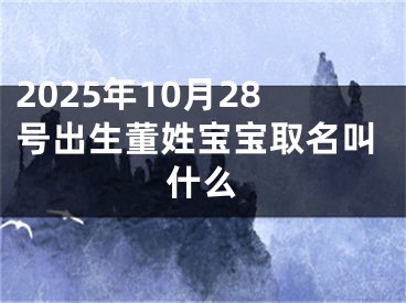 2025年10月28号出生董姓宝宝取名叫什么