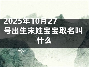 2025年10月27号出生宋姓宝宝取名叫什么