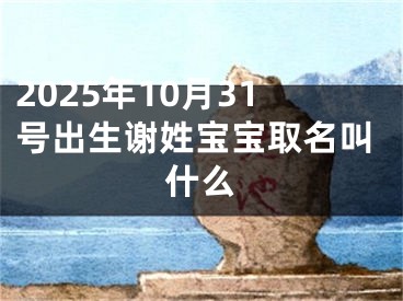 2025年10月31号出生谢姓宝宝取名叫什么
