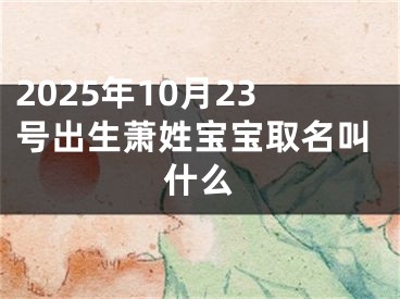 2025年10月23号出生萧姓宝宝取名叫什么