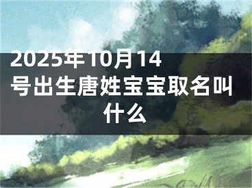 2025年10月14号出生唐姓宝宝取名叫什么