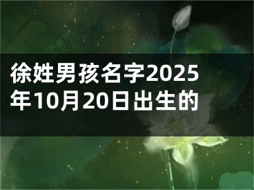 徐姓男孩名字2025年10月20日出生的