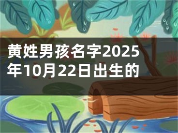 黄姓男孩名字2025年10月22日出生的