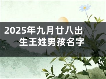 2025年九月廿八出生王姓男孩名字