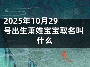2025年10月29号出生萧姓宝宝取名叫什么