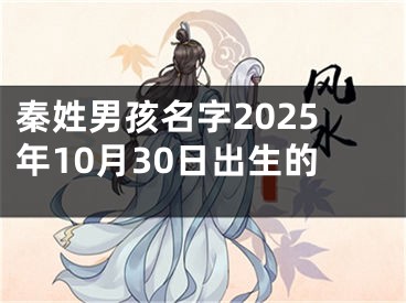 秦姓男孩名字2025年10月30日出生的
