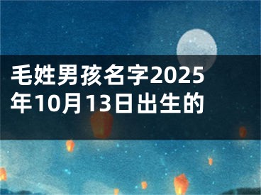 毛姓男孩名字2025年10月13日出生的