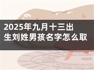 2025年九月十三出生刘姓男孩名字怎么取