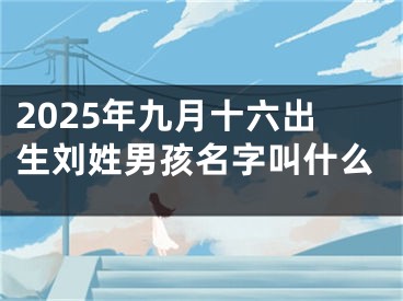 2025年九月十六出生刘姓男孩名字叫什么