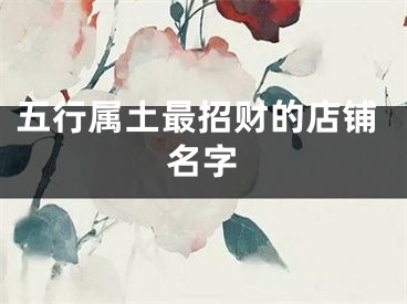 五行属土最招财的店铺名字