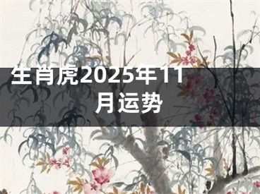 生肖虎2025年11月运势