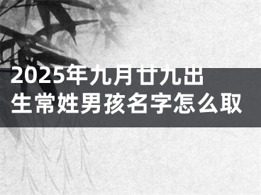2025年九月廿九出生常姓男孩名字怎么取