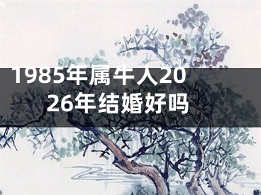 1985年属牛人2026年结婚好吗