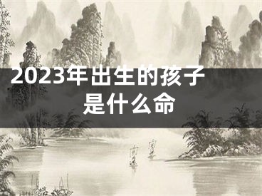 2023年出生的孩子是什么命