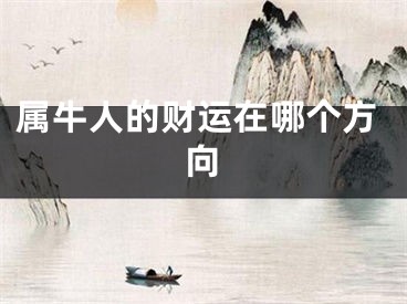 属牛人的财运在哪个方向
