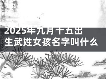 2025年九月十五出生武姓女孩名字叫什么