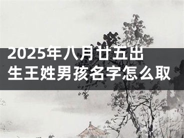 2025年八月廿五出生王姓男孩名字怎么取