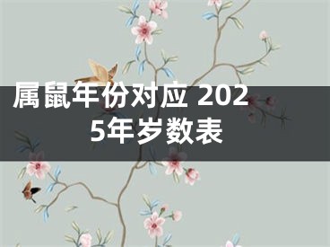 属鼠年份对应 2025年岁数表