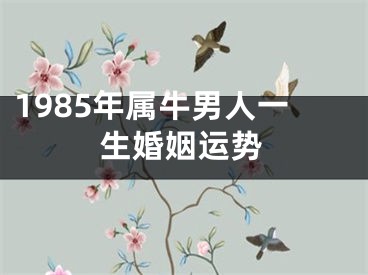 1985年属牛男人一生婚姻运势