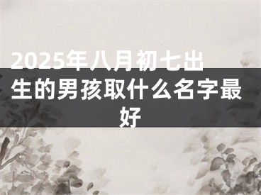 2025年八月初七出生的男孩取什么名字最好