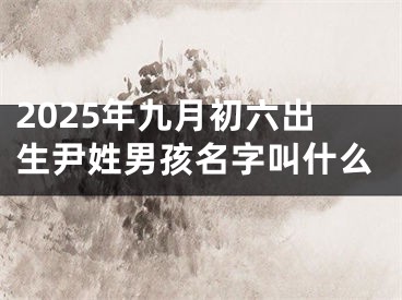 2025年九月初六出生尹姓男孩名字叫什么