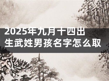 2025年九月十四出生武姓男孩名字怎么取