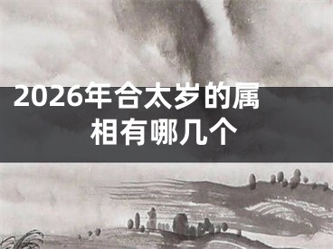 2026年合太岁的属相有哪几个