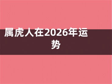 属虎人在2026年运势