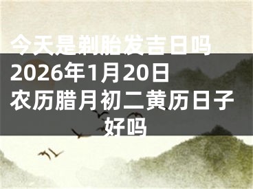今天是剃胎发吉日吗 2026年1月20日农历腊月初二黄历日子好吗