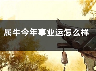 属牛今年事业运怎么样