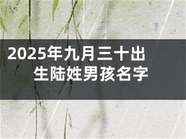2025年九月三十出生陆姓男孩名字