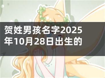 贺姓男孩名字2025年10月28日出生的