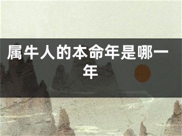 属牛人的本命年是哪一年