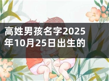 高姓男孩名字2025年10月25日出生的