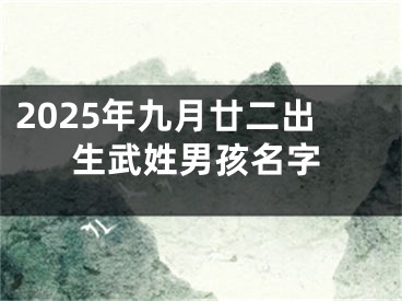 2025年九月廿二出生武姓男孩名字