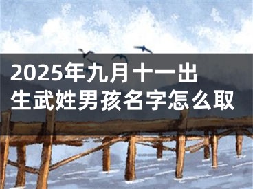 2025年九月十一出生武姓男孩名字怎么取