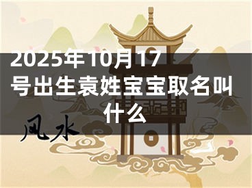 2025年10月17号出生袁姓宝宝取名叫什么