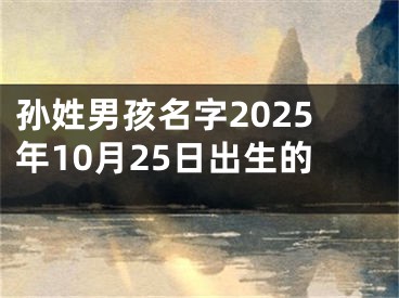 孙姓男孩名字2025年10月25日出生的