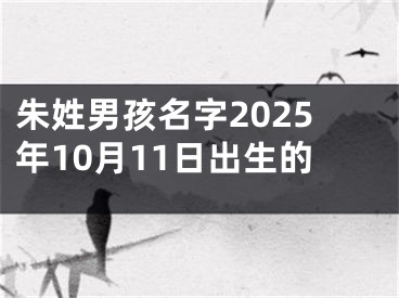 朱姓男孩名字2025年10月11日出生的