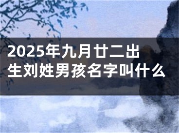 2025年九月廿二出生刘姓男孩名字叫什么