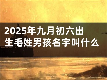 2025年九月初六出生毛姓男孩名字叫什么