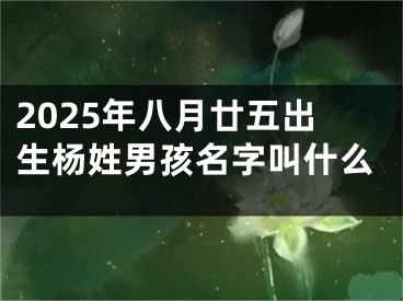 2025年八月廿五出生杨姓男孩名字叫什么
