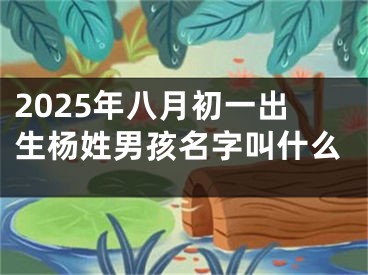 2025年八月初一出生杨姓男孩名字叫什么