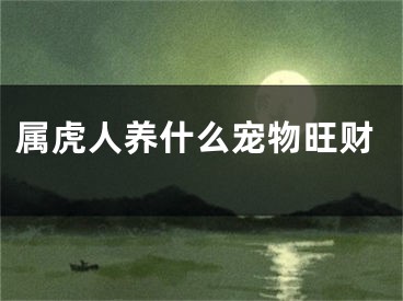 属虎人养什么宠物旺财