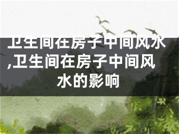 卫生间在房子中间风水,卫生间在房子中间风水的影响
