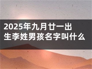 2025年九月廿一出生李姓男孩名字叫什么