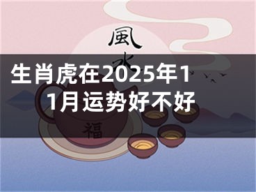 生肖虎在2025年11月运势好不好